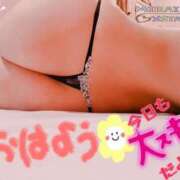 ヒメ日記 2026/01/15 08:00 投稿 みらい XSTASY（エクスタシー）