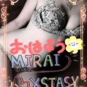 ヒメ日記 2026/02/11 08:00 投稿 みらい XSTASY（エクスタシー）