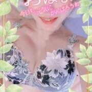 ヒメ日記 2026/03/23 08:01 投稿 みらい XSTASY（エクスタシー）