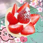 ヒメ日記 2026/05/04 12:01 投稿 みらい XSTASY（エクスタシー）