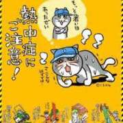ヒメ日記 2026/07/14 11:45 投稿 みらい XSTASY（エクスタシー）