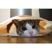 ヒメ日記 2025/07/15 09:27 投稿 かれん 桃色奥様 松戸本店