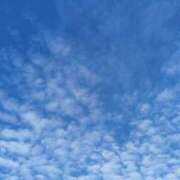 ヒメ日記 2025/12/03 17:05 投稿 かれん 桃色奥様 松戸本店