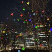 ヒメ日記 2024/12/31 19:08 投稿 かぐら スピードエコ京橋店