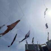 かぐら ありがとぉ スピードエコ京橋店