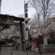 ヒメ日記 2025/03/31 17:33 投稿 エミ★高級な女王の香り ヴィーナス(金津園)