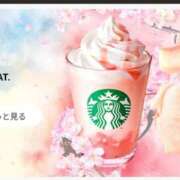 ヒメ日記 2025/02/14 20:20 投稿 ナツ★理想の小悪魔ボディ ヴィーナス(金津園)