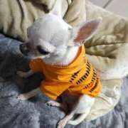 ヒメ日記 2025/02/27 10:19 投稿 ナツ★理想の小悪魔ボディ ヴィーナス(金津園)