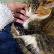 ヒメ日記 2025/03/25 14:03 投稿 ナツ★理想の小悪魔ボディ ヴィーナス(金津園)