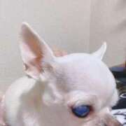 ヒメ日記 2025/04/30 10:57 投稿 ナツ★理想の小悪魔ボディ ヴィーナス(金津園)