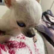 ヒメ日記 2025/05/07 19:12 投稿 ナツ★理想の小悪魔ボディ ヴィーナス(金津園)