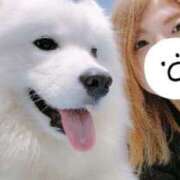 ヒメ日記 2025/06/13 14:48 投稿 ナツ★理想の小悪魔ボディ ヴィーナス(金津園)