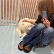 ヒメ日記 2025/06/14 00:33 投稿 ナツ★理想の小悪魔ボディ ヴィーナス(金津園)