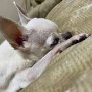 ヒメ日記 2025/06/16 19:12 投稿 ナツ★理想の小悪魔ボディ ヴィーナス(金津園)