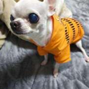 ヒメ日記 2025/06/29 23:12 投稿 ナツ★理想の小悪魔ボディ ヴィーナス(金津園)