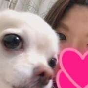 ヒメ日記 2025/08/05 22:42 投稿 ナツ★理想の小悪魔ボディ ヴィーナス(金津園)