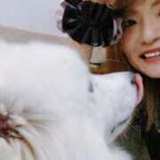 ヒメ日記 2025/11/08 13:48 投稿 ナツ★理想の小悪魔ボディ ヴィーナス(金津園)