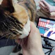 ナツ★理想の小悪魔ボディ おはぁ🥰🥰 ヴィーナス(金津園)