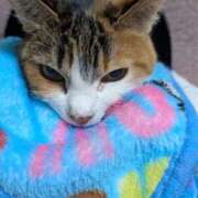 ヒメ日記 2025/12/26 22:57 投稿 ナツ★理想の小悪魔ボディ ヴィーナス(金津園)