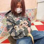 ヒメ日記 2026/01/21 12:00 投稿 ナツ★理想の小悪魔ボディ ヴィーナス(金津園)