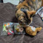 ヒメ日記 2026/02/09 19:36 投稿 ナツ★理想の小悪魔ボディ ヴィーナス(金津園)