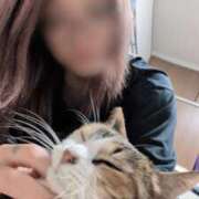 ヒメ日記 2026/02/11 11:06 投稿 ナツ★理想の小悪魔ボディ ヴィーナス(金津園)