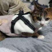 ヒメ日記 2026/02/15 01:18 投稿 ナツ★理想の小悪魔ボディ ヴィーナス(金津園)