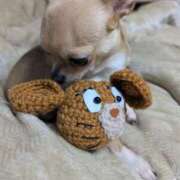 ヒメ日記 2026/02/17 22:03 投稿 ナツ★理想の小悪魔ボディ ヴィーナス(金津園)