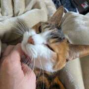 ナツ★理想の小悪魔ボディ 花粉症かな？？ ヴィーナス(金津園)