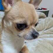 ヒメ日記 2026/03/18 12:03 投稿 ナツ★理想の小悪魔ボディ ヴィーナス(金津園)