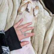 ヒメ日記 2026/03/19 10:42 投稿 ナツ★理想の小悪魔ボディ ヴィーナス(金津園)