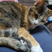 ヒメ日記 2026/03/27 14:03 投稿 ナツ★理想の小悪魔ボディ ヴィーナス(金津園)