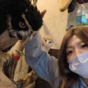 ヒメ日記 2026/04/04 13:27 投稿 ナツ★理想の小悪魔ボディ ヴィーナス(金津園)