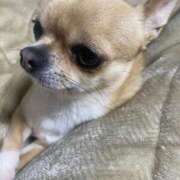 ヒメ日記 2026/04/30 00:48 投稿 ナツ★理想の小悪魔ボディ ヴィーナス(金津園)