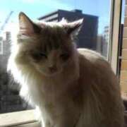 ヒメ日記 2024/12/12 18:24 投稿 ユーコ☆金津随一の神業テク ヴィーナス(金津園)