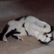 ヒメ日記 2024/12/13 17:48 投稿 ユーコ☆金津随一の神業テク ヴィーナス(金津園)