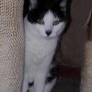 ヒメ日記 2024/12/16 17:57 投稿 ユーコ☆金津随一の神業テク ヴィーナス(金津園)