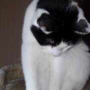 ヒメ日記 2024/12/18 17:48 投稿 ユーコ☆金津随一の神業テク ヴィーナス(金津園)