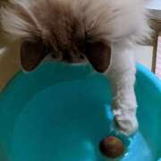 ヒメ日記 2024/12/21 12:06 投稿 ユーコ☆金津随一の神業テク ヴィーナス(金津園)