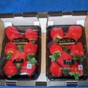 ヒメ日記 2024/12/21 23:33 投稿 ユーコ☆金津随一の神業テク ヴィーナス(金津園)