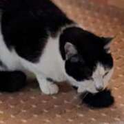 ヒメ日記 2024/12/22 12:18 投稿 ユーコ☆金津随一の神業テク ヴィーナス(金津園)