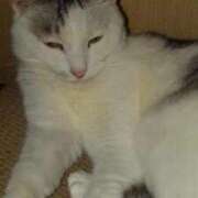 ヒメ日記 2024/12/22 21:33 投稿 ユーコ☆金津随一の神業テク ヴィーナス(金津園)