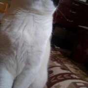 ヒメ日記 2024/12/24 20:51 投稿 ユーコ☆金津随一の神業テク ヴィーナス(金津園)