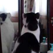 ヒメ日記 2024/12/28 12:18 投稿 ユーコ☆金津随一の神業テク ヴィーナス(金津園)