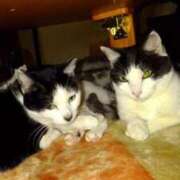 ヒメ日記 2024/12/28 21:33 投稿 ユーコ☆金津随一の神業テク ヴィーナス(金津園)