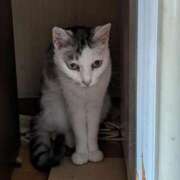 ヒメ日記 2024/12/30 12:27 投稿 ユーコ☆金津随一の神業テク ヴィーナス(金津園)