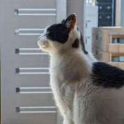 ヒメ日記 2024/12/31 18:12 投稿 ユーコ☆金津随一の神業テク ヴィーナス(金津園)