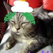 ヒメ日記 2025/01/01 17:42 投稿 ユーコ☆金津随一の神業テク ヴィーナス(金津園)