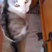 ヒメ日記 2025/01/02 12:06 投稿 ユーコ☆金津随一の神業テク ヴィーナス(金津園)