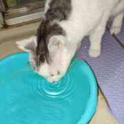 ヒメ日記 2025/01/03 17:42 投稿 ユーコ☆金津随一の神業テク ヴィーナス(金津園)